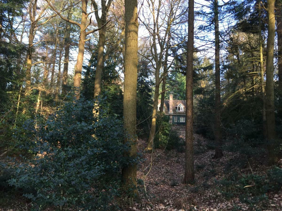 Landgoed De Heezeberg Villa Diever Eksteriør bilde