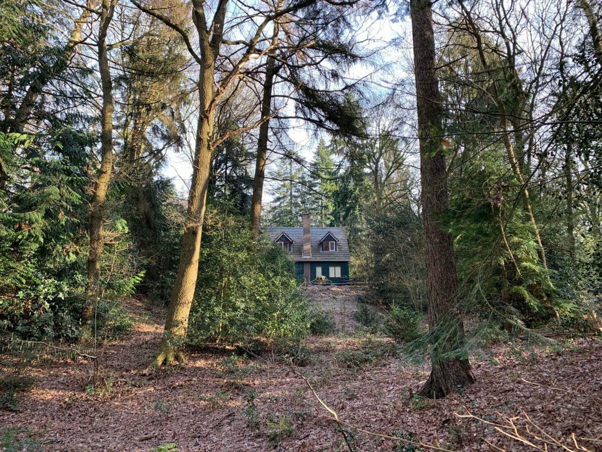 Landgoed De Heezeberg Villa Diever Eksteriør bilde