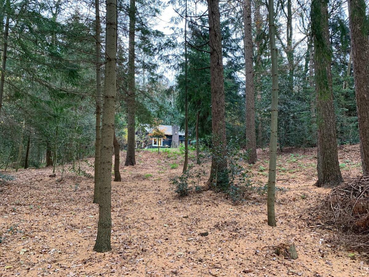 Landgoed De Heezeberg Villa Diever Eksteriør bilde
